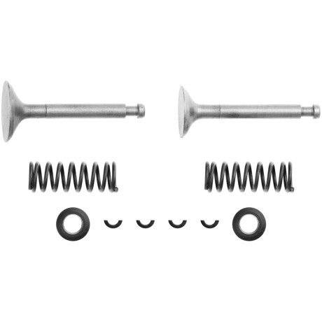 FS120AR szelepkészlet