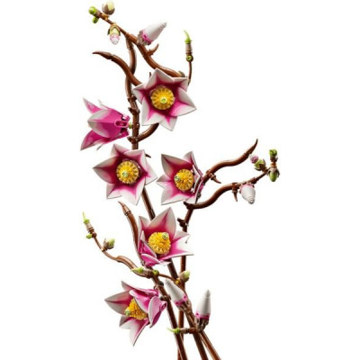 LEGO Botanicals - Větvičky magnólie