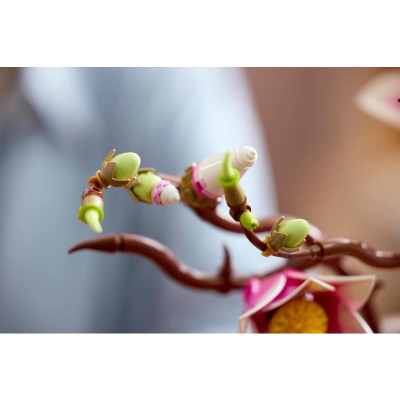 LEGO Botanicals - Větvičky magnólie