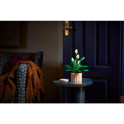 LEGO Botanicals - Lopatkovec