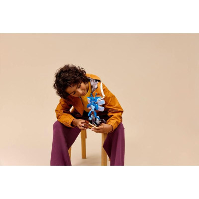 LEGO Harry Potter - Cornwallský rarach