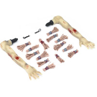 Losi LMT 2.0 RC modellautó alkatrész: haj, kezek.