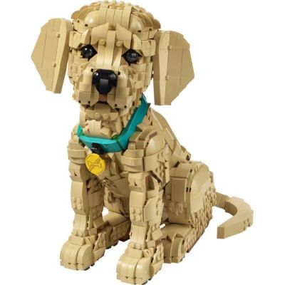 LEGO Icons - Arany-retriever kölyökkutya