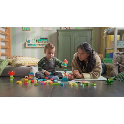 LEGO DUPLO - Barevný kreativní box s kostkami