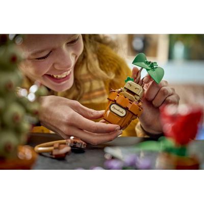 LEGO Harry Potter - Rostliny z hodiny bylinkářství v Bradavicích