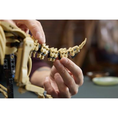 LEGO Jurassic World - Dinosauří fosilie: Triceratops