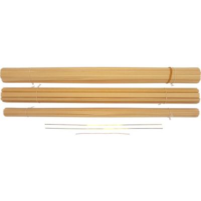 Model Shipways USS Essex 1799 1:76 kit