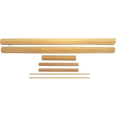 Model Shipways Chaperon 1:48 1884 kit