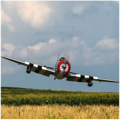 Hangar 9 P-47D Thunderbolt 1.7m 20cc ARF