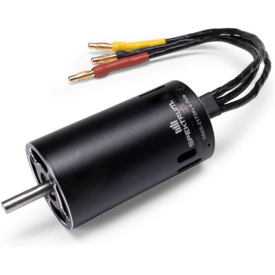 Spektrum AC motor 3665 2170rot/V 4P