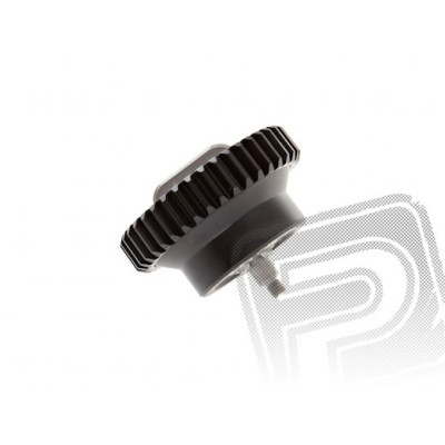 Ozubené kolo motoru pro FOCUS