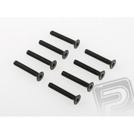 Šroub se záp. hlavou (4x20) 8ks 1/5