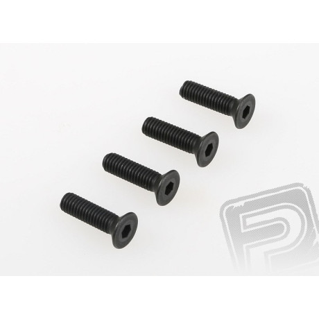 Šroub se záp. hlavou (4x25) 8ks 1/5