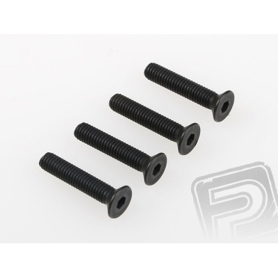 Šroub se záp. hlavou (5x25) 4ks 1/5