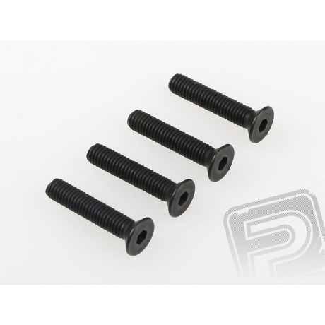 Šroub se záp. hlavou (5x25) 4ks 1/5