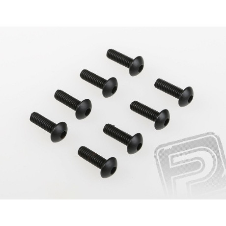 Šroub s čočkovou hlavou(4x12) 8ks 1/5