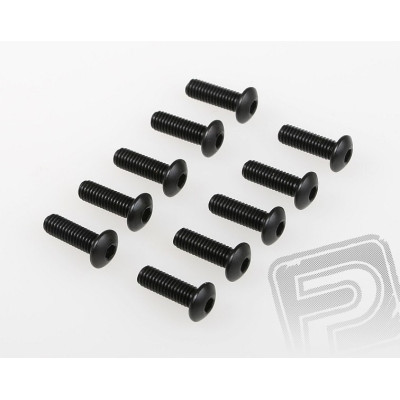 Šroub s čočkovou hlavou(4x15) 8ks 1/5