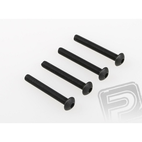 Šroub s čočkovou hlavou(4x30) 4ks 1/5