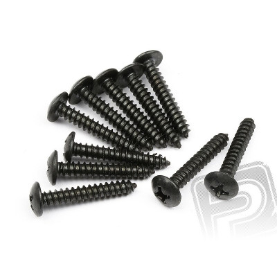 Samořezné šrouby s kul. hlavou M3x19mm (10ks)