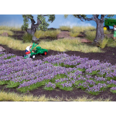 Trávne prúžky, trsy, levanduľa