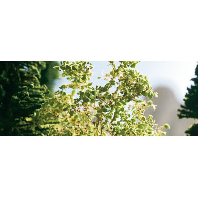 Lístie, stredne zelené, 50g