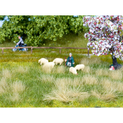 Natur+, jarná lúka