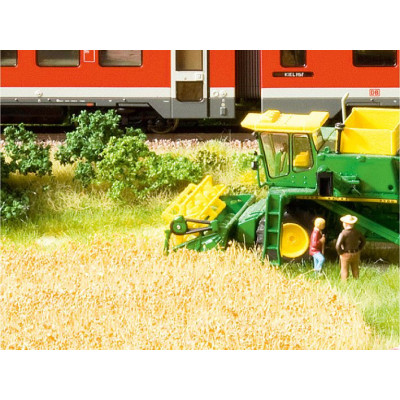 Natur+, jarná lúka