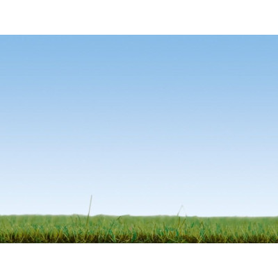 Statická tráva, jarná lúka, 2,5 mm, 120 g