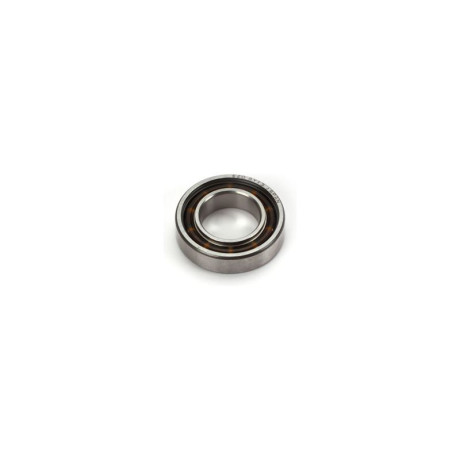 Rear Bearing (13X24X6): DYN .21