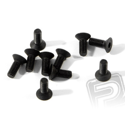 Šroub se záp. hlavou M3x8mm 10ks.