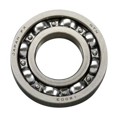 Zadní kuličkové ložisko