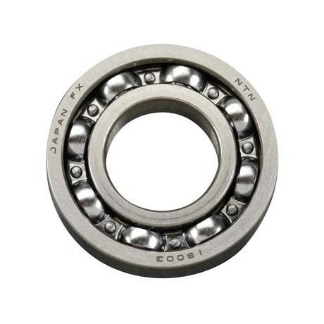 Zadní kuličkové ložisko