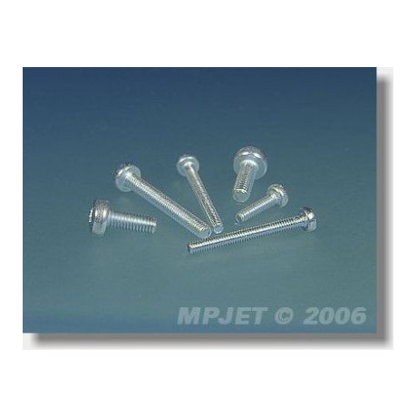 0314 Šroub Pan Head M2x10 10 ks