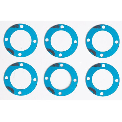 Těsnění dif. (6 ks.)