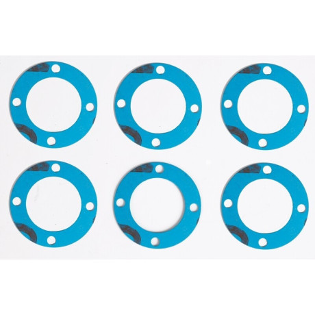 Těsnění dif. (6 ks.)