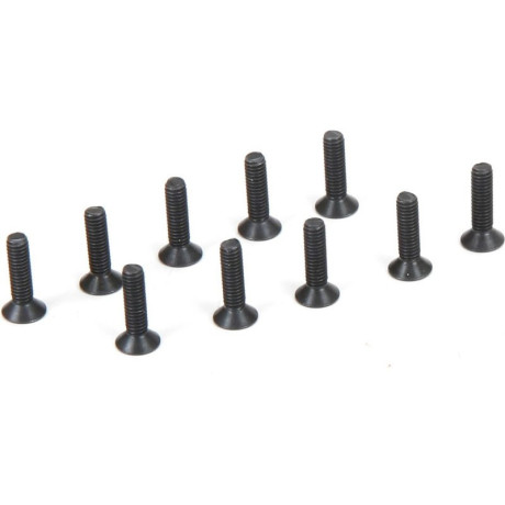 Šroub FH M2.5x10mm (10)