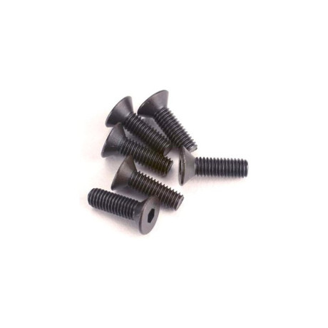 Šroub imbus zapuštěná hlava M3x10mm (6)