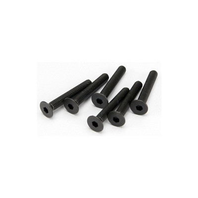 Šroub imbus zapuštěná hlava M3x20mm (6)