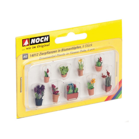 Okrasné rostliny v květináčích 14012