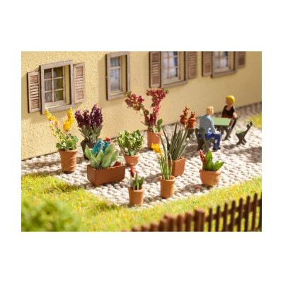 Okrasné rostliny v květináčích 14012