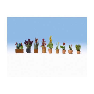 Okrasné rostliny v květináčích 14012