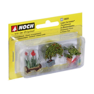 Okrasné rostliny v květináčích 14020