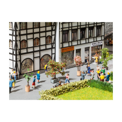 Okrasné rostliny v květináčích 14020