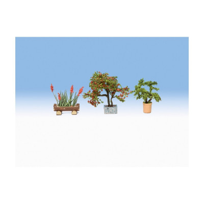 Okrasné rostliny v květináčích 14020