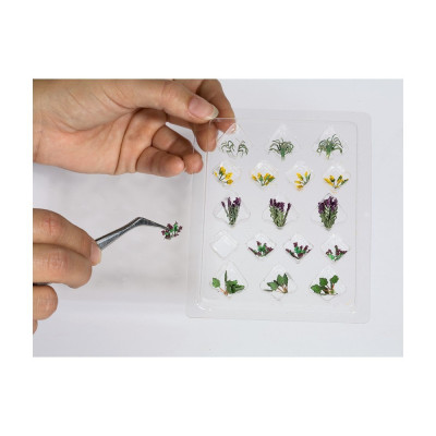 Vodní rostliny 14052