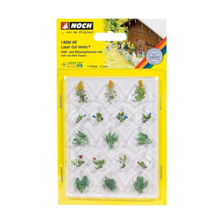 Polní rostliny 14056