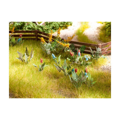 Polní rostliny 14056