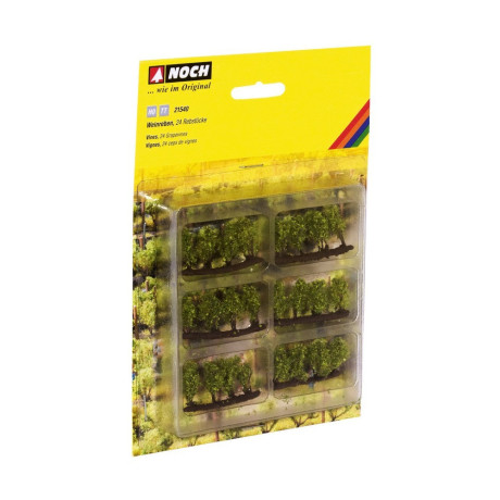 Vinná réva - vinice, 24 ks 21540