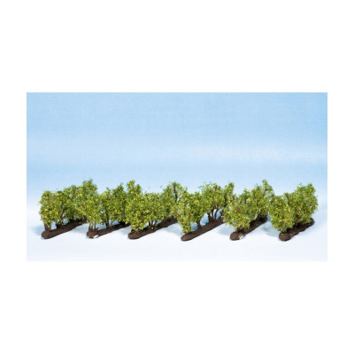 Vinná réva - vinice, 24 ks 21540