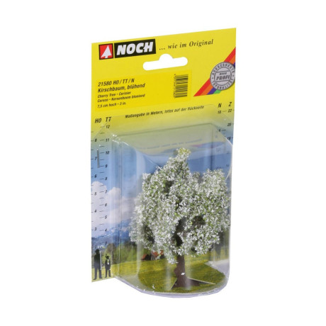 Třešeň kvetoucí - 7,5 cm 21580